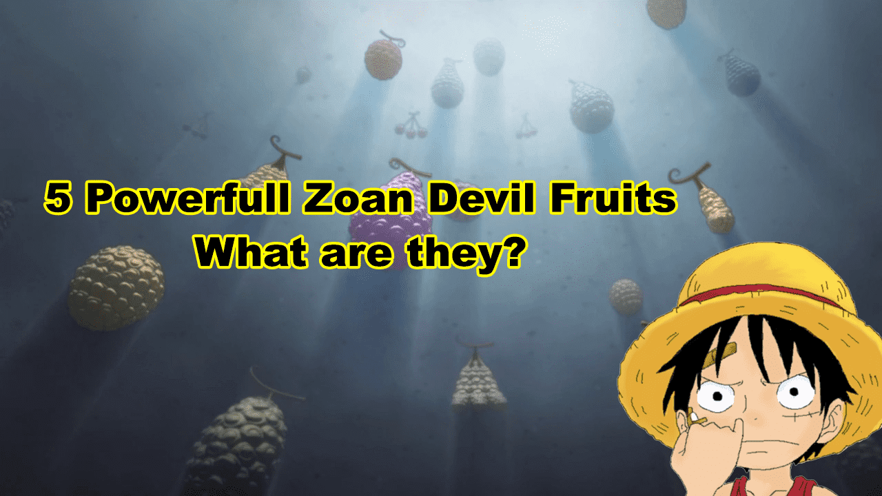 Top 5 Zoan Devil Fruits